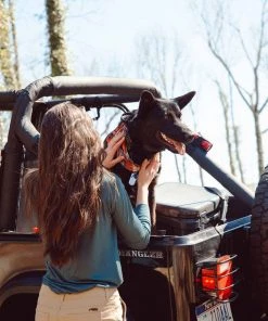 Mountain Khakis Women’s Camber Short 12 Mountain Khakis Women’s Camber Short